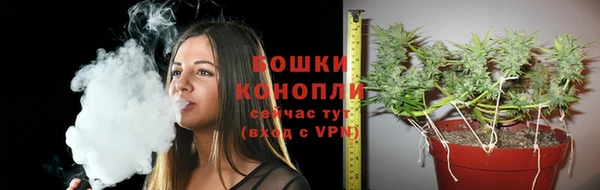 спиды Зеленокумск