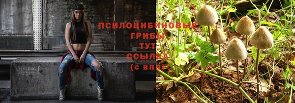 МДПВ Зеленодольск