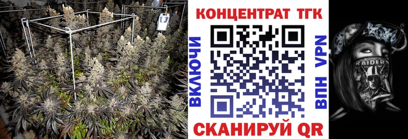 ТГК THC oil  блэк спрут ТОР  Елец 