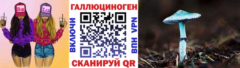 Псилоцибиновые грибы Psilocybe  даркнет формула  Елец  купить наркоту 